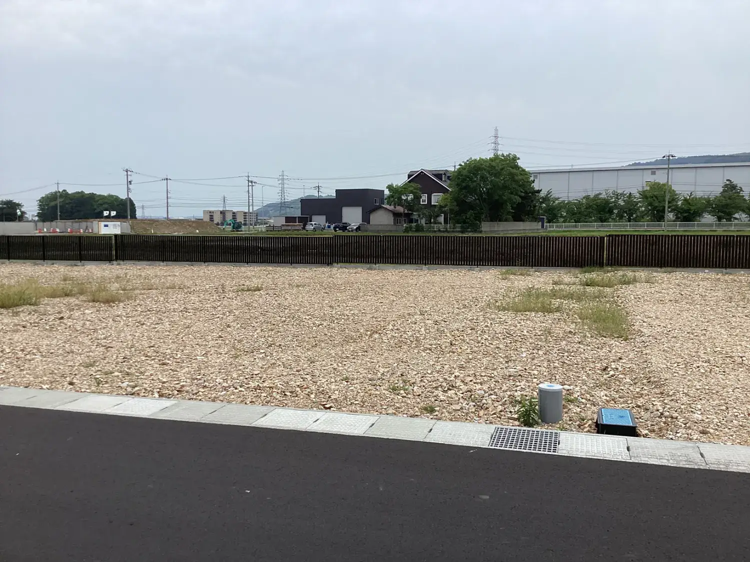 イベント情報
