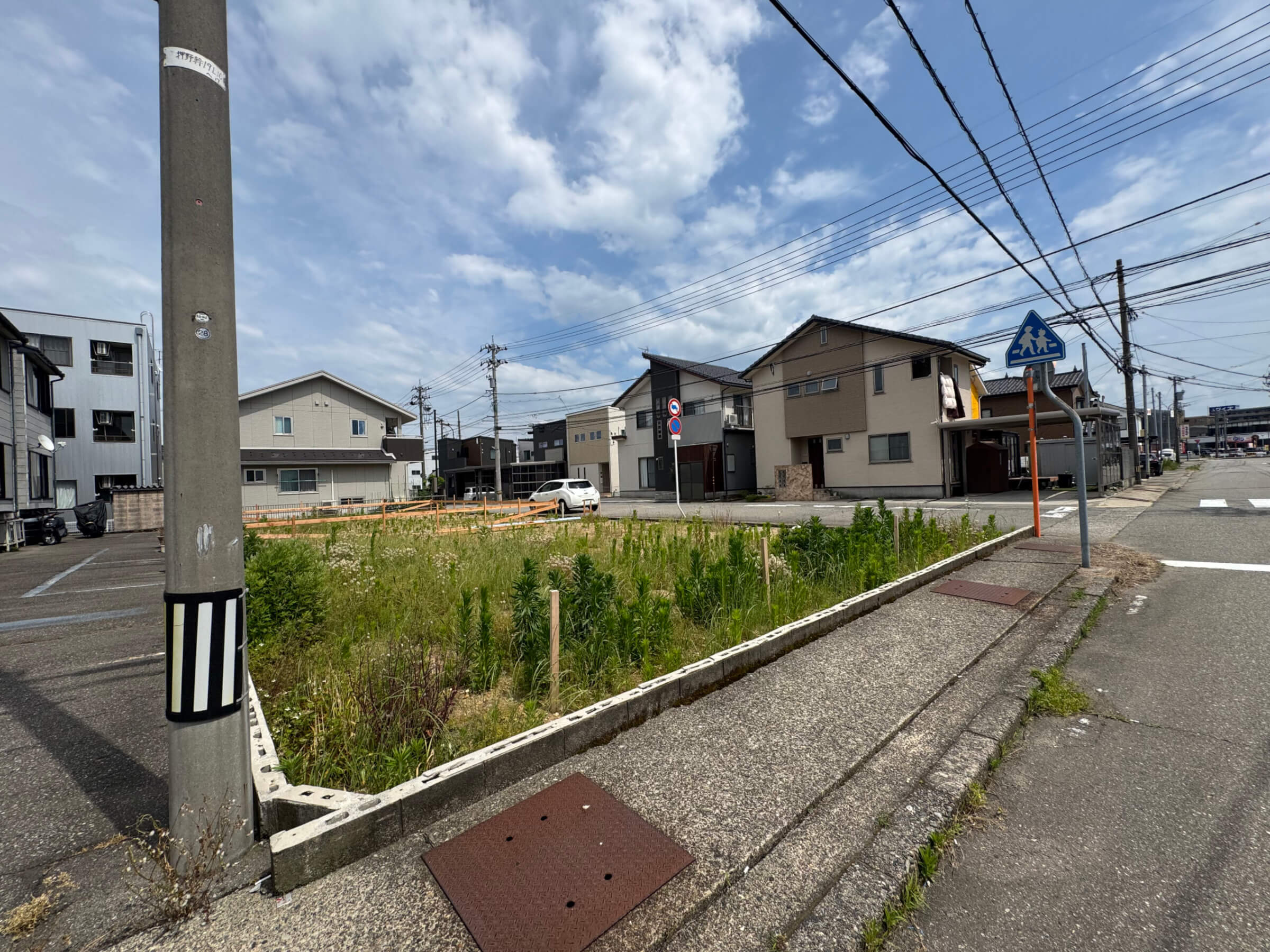 イベント情報